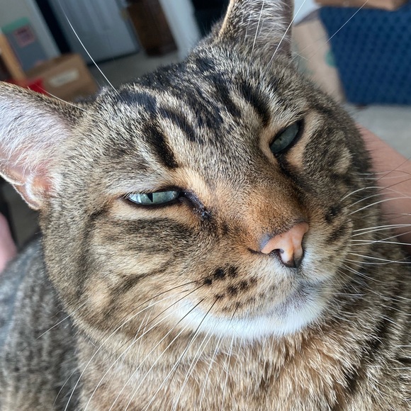 Meet your Posher, Danielle - Picture 3 of 4